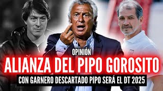 PIPO GOROSITO NUEVO DT DE ALIANZA🏆¿QUÉ PASÓ CON GARNERO💥¿POR QUÉ LO ELIGIÓ FRANCO NAVARRO [upl. by Ahsote739]