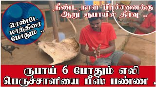 நீண்ட கால எலி பிரச்சனை எளிய தீர்வு  ஆறு ருபாய் போதும் [upl. by Ysdnyl]