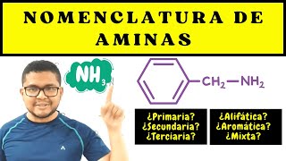 NOMENCLATURA ORGÁNICA AMINAS  Nomenclatura de Aminas [upl. by Goggin]