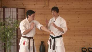 ESKK® Online Lesson 2 part 2 Hikite the pulling hand [upl. by Berkly]