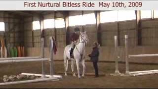 Show Jumping Champion Tests the Nurtural Bitless Bridle Its great [upl. by Airdnna]