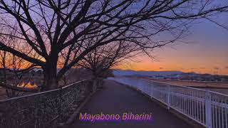 Mayabono Biharini slowed  reverb [upl. by Luelle501]