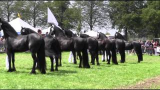 The KFPS Royal Friesian Horse [upl. by Ardnosak873]