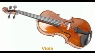 VIOLA SOUND [upl. by Shamrao265]