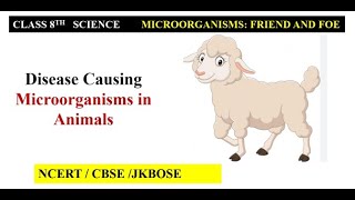 Part 13  Disease causing Microorganisms in Animals  Class 8th  Science [upl. by Emmer]