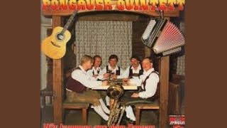 Pongauer Quintett Schlittenglocken 1992 Bischofshofen Musikantentreffen [upl. by Nosydam]