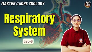 Respiratory System Lec3  Master Cadre Zoology Preparation  Most Important topic  Bansal Academy [upl. by Selin]