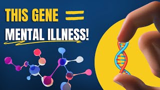 Genetics and Mental Health The MTHFR Gene [upl. by Eca840]