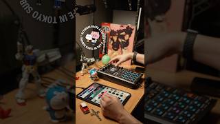 🐨Lets have fun with Soul Beat on KOALA SAMPLER amp ROLAND SP404 MK2 [upl. by Nissa]