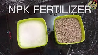 NPK Fertilizer for Plant Application in Gardening How Much and How to Use  English [upl. by Notyalc883]