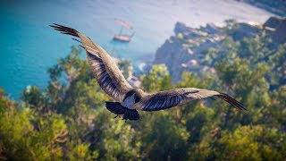 A Serene Journey Through Ancient Kephallonia 480 BC  AC Odyssey Ambient Storytelling [upl. by Gloriana804]