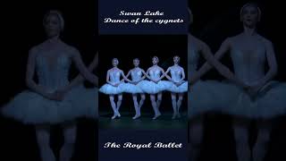 shorts The Royal Ballet  Swan Lake Dance of the cygnets balletdance balletclass tchaikovsky [upl. by Enajyram]