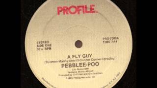 PebbleePoo  A Fly Guy Part 1 vocal [upl. by Ettennat]