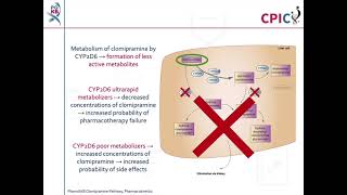 CPIC guideline for clomipramine and CYP2C19 CYP2D6 [upl. by Sucy]