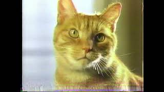 Friskies  Retro TV Commercials  1999 [upl. by Leivad]