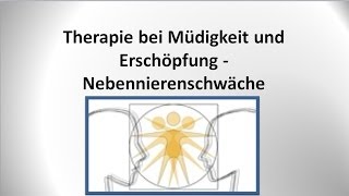 Nebennierenschwäche und Nebennierenschwäche  Therapie  von GANZMEDIZIN in Obersulm [upl. by Nedroj]