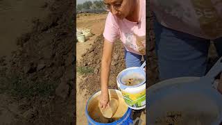 vegetable drenching  kitchen garden indianorganicjourney shorts [upl. by Connor]