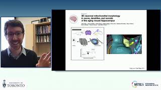 quotEnergy Mitochondria and the BrainBody Connectionquot by Dr Martin Picard [upl. by Clein]