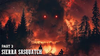 The Sierra Sasquatch Sightings  Part 3 [upl. by Socram]