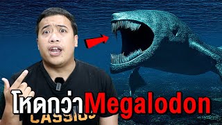 3 สัตว์ที่น่ากลัวมากกว่า Megalodon [upl. by Girardi]