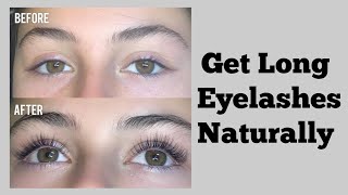 How To Get Long Eyelashes Naturally  Grow Longer Eyelashes [upl. by Lerad]