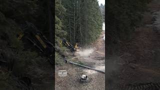 Machine makes quick work of timber loggingequipment working heavyequipment machinery logger [upl. by Elitnahc]