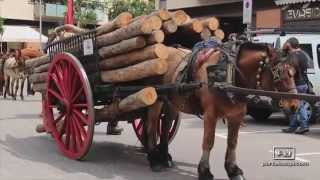 Tres Tombs 2015 encuentro nacional carruajes antiguos a Sant Joan Despí 1ªparte [upl. by Yelnikcm893]