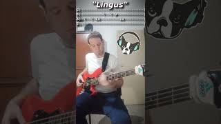 Snarky Puppy  quotLingusquot Bass Cover With TABS [upl. by Reilly756]