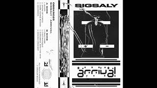 SIGSALY  Cest Physique Original Mix [upl. by Dray760]