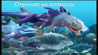 Отвечаю на вопросы HILLSTAR [upl. by Elwaine]