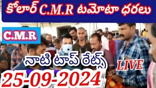 25092024 kolar tomato market ratetoday Kolar tomato market price kolartomatomarkettomato [upl. by Ninnahc]