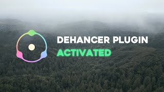 How to Activate Your Dehancer License Key  Premiere Pro [upl. by Shirk404]