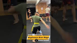 Beginner Krav Maga Classes Brisbane [upl. by Karp]