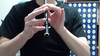 Tin whistle The Glasgow Reel Tam Lin Practice [upl. by Mayberry243]