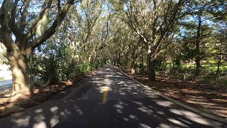 Tunnel of trees on golf cart path in The Villages Florida [upl. by Ayidan4]