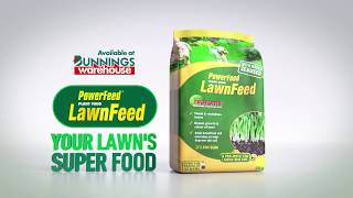 Seasol PowerFeed LawnFeed TV Commercial 2019 [upl. by Nehepts271]