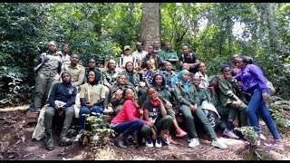 Amarangamutima yabanyeshuri kuri Canopy walkway Ikiraro kiri muri Nyungwe [upl. by Wavell]