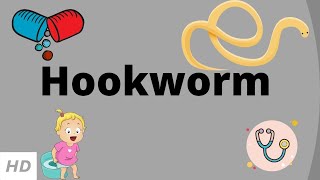 Hookworm Causes Signs and Symptoms Diagnosis and Treatment [upl. by Lohrman]