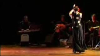 Leidse Schouwburg  FROM SUFI TO FLAMENCO [upl. by Genny]