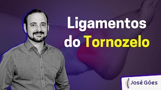 Ligamentos do Tornozelo  José Góes [upl. by Leimad]