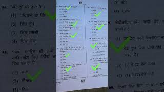 PSTET Paper 2 Punjabi Answer Key  pstet2024 answerkey punjabianswerkey [upl. by Riggins]