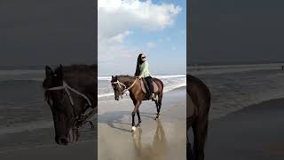 the girls from Sulawesi riding horses at seminyak beach [upl. by Aldos198]