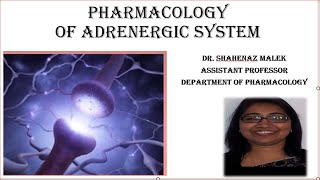 Pharmacology of adrenergic system2 [upl. by Enrichetta]