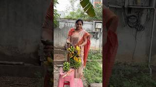 Arati gela gola shorts youtubeshorts youtube tth kitchengarden sunitapaturi [upl. by Brufsky]