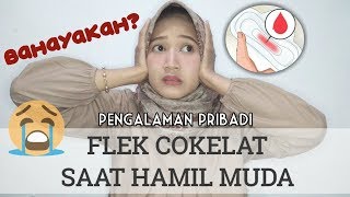 CERITA FLEK SAAT HAMIL MUDA TRIMESTER 1  PENGALAMAN PRIBADI [upl. by Freudberg]