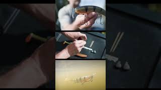 Le meilleur montage pour vos leurres souples  le Pro Peg Blade [upl. by Wira895]