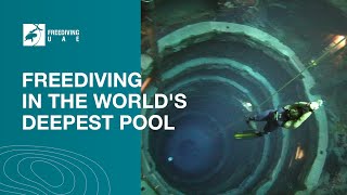 Freediving in the worlds deepest pool  Deep Dive Dubai [upl. by Dray]