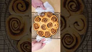 Bread Machine Cinnamon Rolls Recipe [upl. by Leimaj]