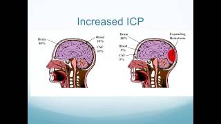 Altered Neurologic Function [upl. by Salohci87]