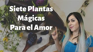 🌿 7 Plantas mágicas para el Amor 💜  Creencias y costumbres [upl. by Acyre612]